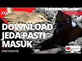 Download Lagu cililin gacor dor ngeroll nembak fighter vs burung ciblek sawah ngbren panjang | Mastering 3D