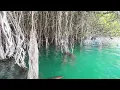 Download Lagu Eksplore pohon keramat di danau toba