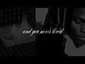 how to pretend - lucy bedroque [visualizer]