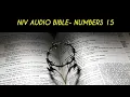 NUMBERS 15 NIV BIBLE with text