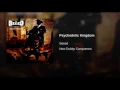 Psychedelic Kingdom