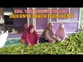 Download Lagu AWAL YANG PENUH RINTANGAN..!! AKHIRNYA PANEN TIADA HENTI