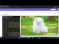 Seasons Switcher Toggle Like and Unlike Coding Practice - 2 JavaScript NxtWave CCBP 4 0