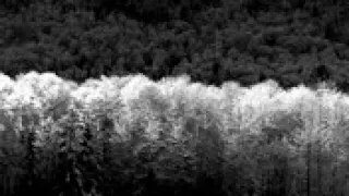 السلام الملكي ل هتلر 