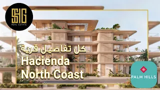 قرية هاسيندا راس الحكمة الساحل الشمالي                           شركة بالم هيلز العقاريه            دندنها