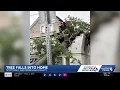 Tree topples onto Scottdale home following Fourth of July storms