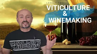 sommelier course lesson 2 viticulture and winemaking