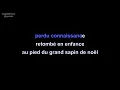 jacques higelin | tombé du ciel | lyrics | paroles | letra |