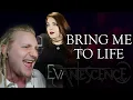 Download Lagu Evanescence | Bring Me To Life - Alina Lesnik \u0026 Rob Lundgren Cover