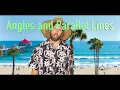 Geometry Angles and Parallel Lines 3-2