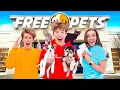 OPENED A FREE PET STORE