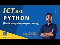 ICT Python Programming - Basic Steps