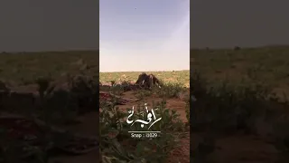 سامحن بالي من الديرة وضايق ومتشايم سفر الدغيلبي دندنها