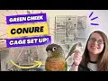 Green Cheek Conure Cage Set Up BirdNerdSophie AD
