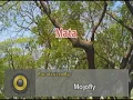 Mata 2 - Mojofly (Karaoke)