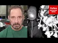 TMZ s Harvey Levin Says Activity Has Happened In Nancy Guthrie Bitcoin Ransom Account