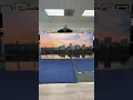 Massive 48x100 Print