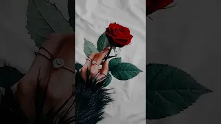 حاله واتساب للبنات هادئه صور سريعه 