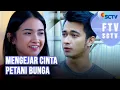 Download Lagu FULL FTV SCTV - Mengejar Cinta Petani Bunga | Eza Gionino dan Nadya Arina