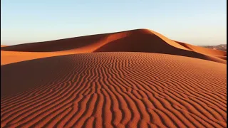 ألا كل ماشية الخيزلى إلقاء أسامة الواعظ دندنها