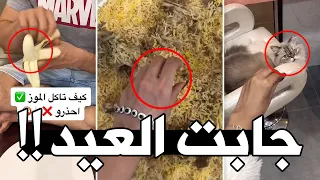 اغبى بنت فالعالم جابت العيد    دندنها