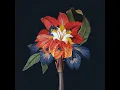 Nervous Tics (feat. Holly Walker) - Maribou State