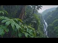 End Stress With Gentle Rain Sounds On Forest Leaves | Rain Sounds For Sleep & No Interruption