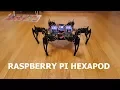Raspberry Pi Hexapod Robot