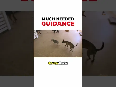 MUCH NEEDED GUIDANCE