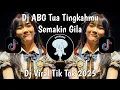 Download Lagu Dj ABG Tua Tingkahmu Semakin Gila