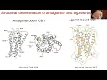 Structure Biology Studies on Cannabinoid Receptors and Putative Cannabinoid Receptor GPR12