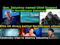 Download Lagu NordStream attack “Planned+Overseen+Executed with involvement of highly trained NATO special forces”