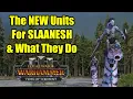 Lagu The NEW Slaanesh Units \u0026 What They Do - Tides of Torment - Total War Warhammer 3 - First Look