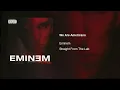 Eminem - We Are Americans