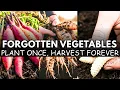 Lagu 20 Forgotten Vegetables That Grow Like Weeds - The Lazy Gardener's Goldmine | Nostalgia Veggies