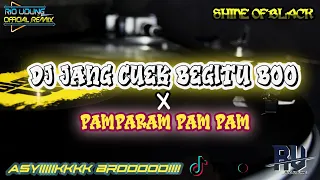 Download VIRAL TIKTOK DJ JANG CUEK BEGITU BOO X PAMPARAM PAM PAM X TELAHABE REMIX TERBARU  ~ DJ RIO MP3