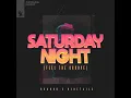 Saturday Night (Feel The Groove) - Brando & Ninetails