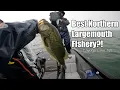 Giant Schools of Northern Largemouth Cayuga Lake BPT Day 1