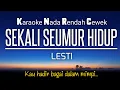 Download Lagu Lesti - Sekali Semur Hidup 🎤Karaoke Nada Rendah‼️