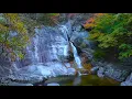 Beautiful s for a Relax and Tranquil Experience