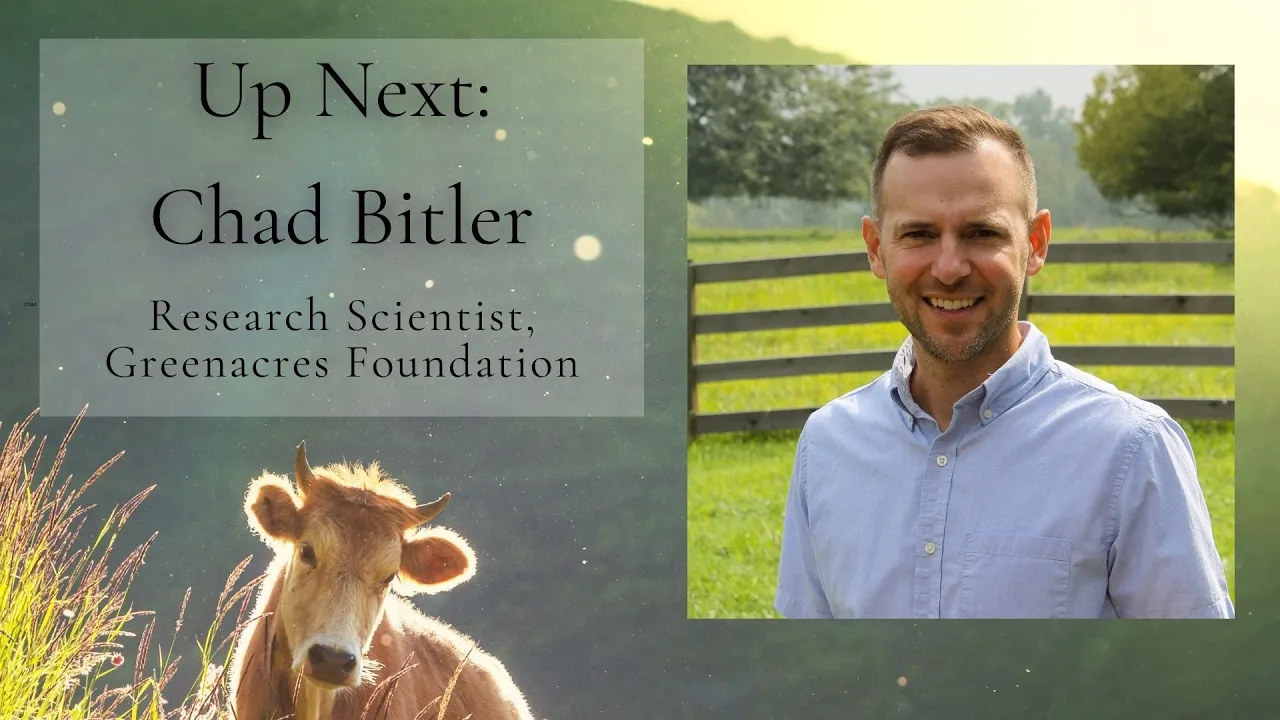 Rotational Grazing by Chad Bitler