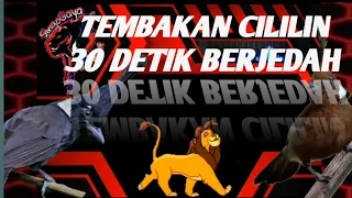 cililin nembak 30 detik berjeda masteran tembakan panjang 