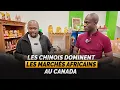 Download Lagu Honteux: Les Chinois nourrissent les Africains au Canada