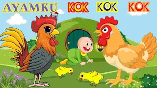 Download Lagu Anak Ayamku Kok Kok Kok Kok ~ Ayam Berkokok MP3
