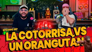 Episodio 387 - 🚨 La cotorrisa VS un Orangután 🚨