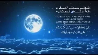                  ا ل م ز ام ير                                              دندنها