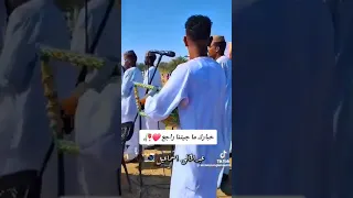النعمان خليفه عمر 