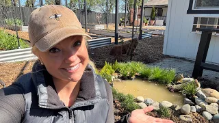 🐸 I HATE Toads, but I Made them a Toad Pond Anyway! 😆🐸🤪 Creating a Wildlife Pond in the Backyard!