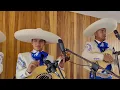 El Mariachi Alazán - Si Nos Dejan (Luis Miguel)