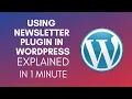 How To Use Newsletter Plugin In WordPress 2025